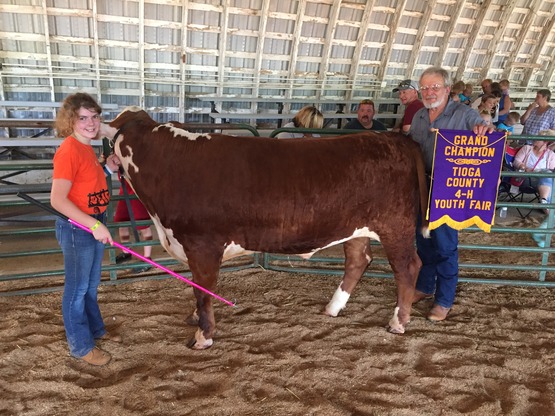 Cornell Cooperative Extension 4 H Beef Cattle Rules And Regulations