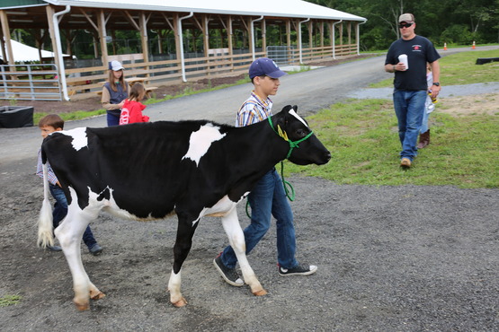 4-H Showcase 2017 Photo 1