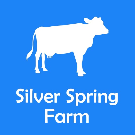 Silver Spring