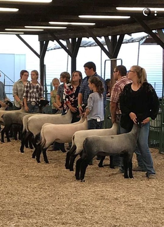 Cornell Cooperative Extension 4H Sheep Show a Success