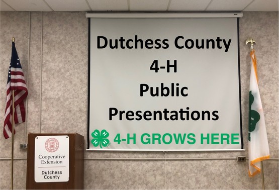 Dutchess County 4-H Public Presentations
