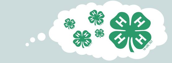 National  4-H FB Image