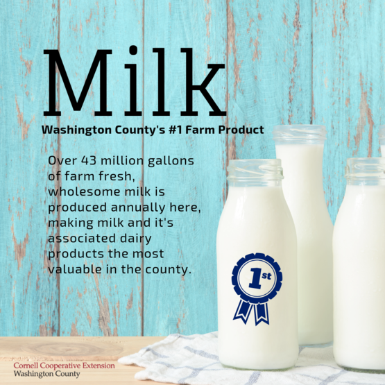 milk