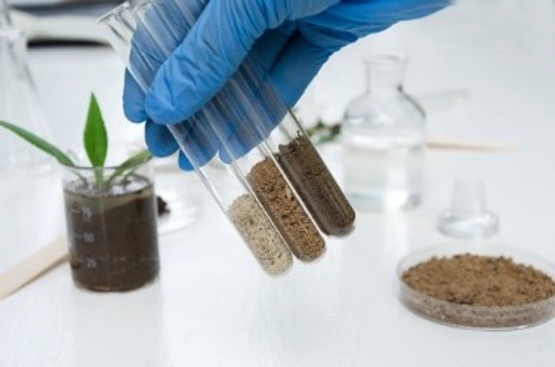 Click here for more information on our soil testing services!