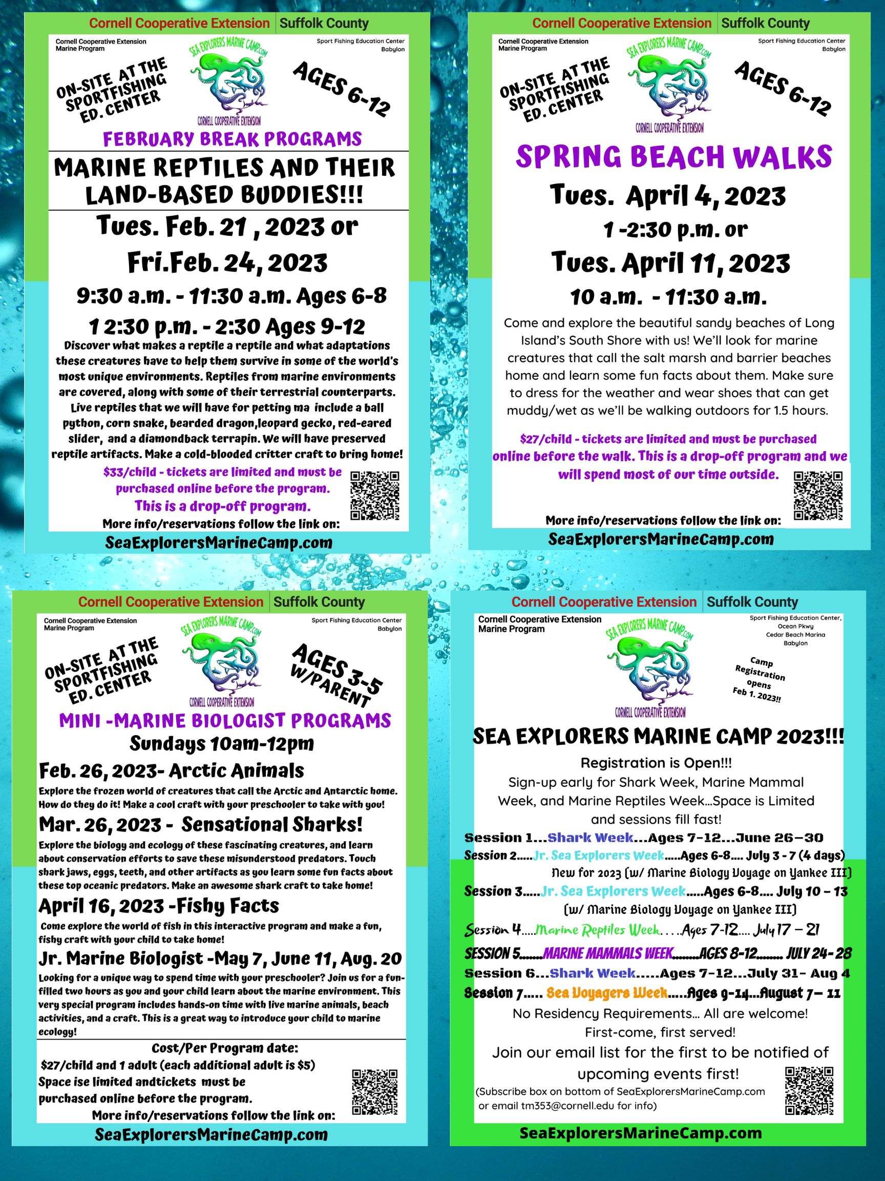 Cornell Cooperative Extension | Sea Explorers Marine Camp