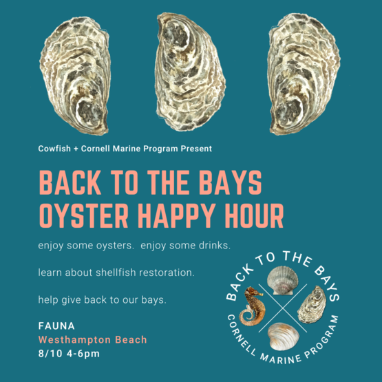Cornell Cooperative Extension Back to the Bays Oyster Happy Hour