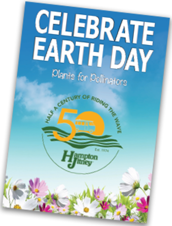 Cornell Cooperative Extension Plants For Pollinators