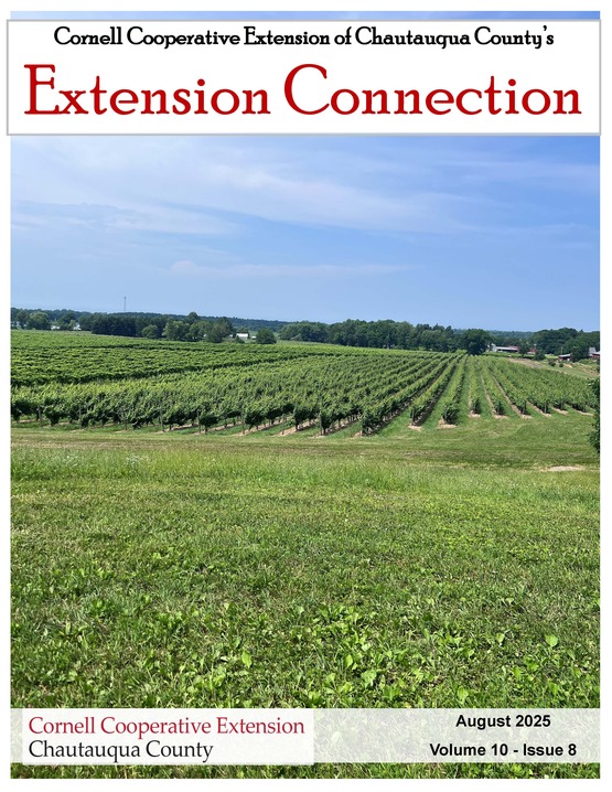 Extension Connection August 2025