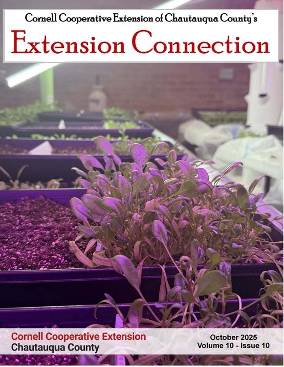 Extension Connection October 2025