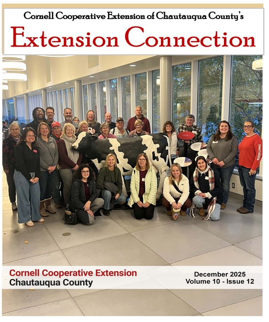 Extension Connection December 2025
