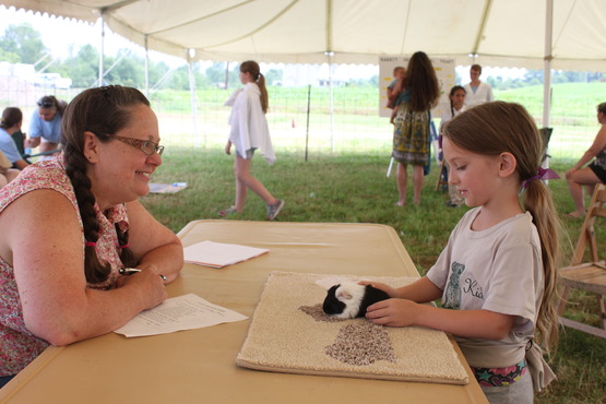 4-H rabbit and cavy program