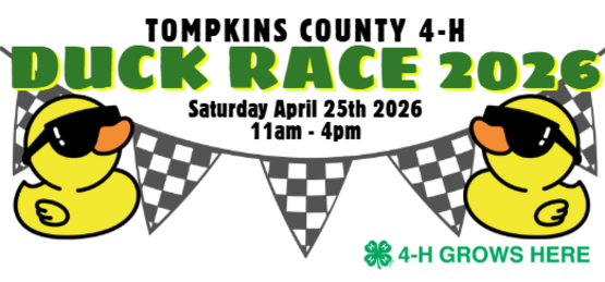 2026 Duck Race Chances