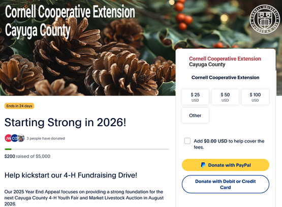 Give with a debit/credit card or PayPal here