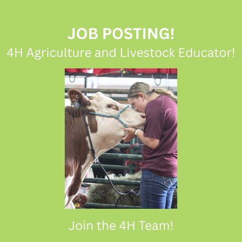 Job posting! 4h agriculture and livestock educator!