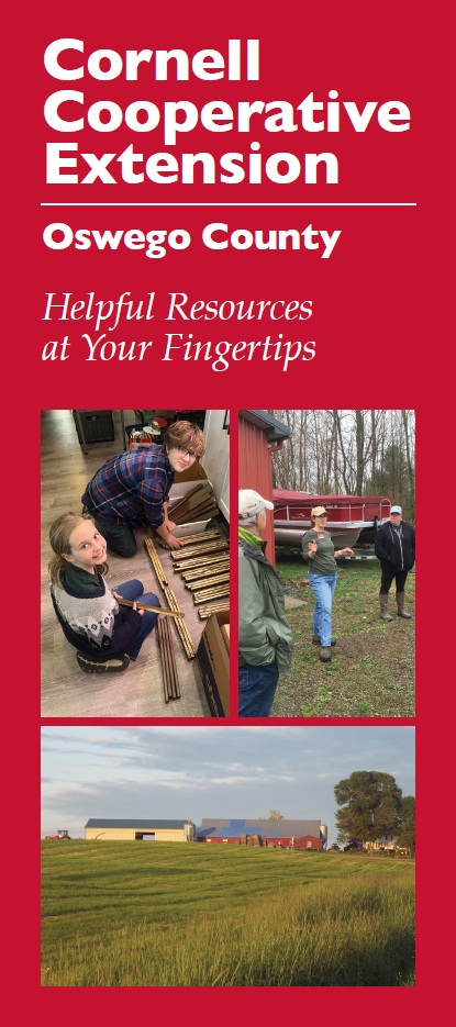 download the CCE-Oswego general brochure