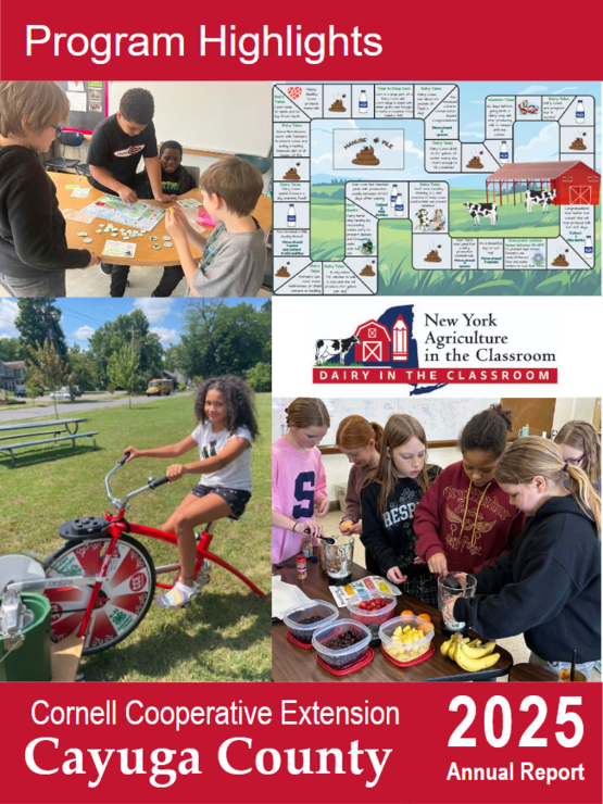 cover of 2025 annual report, download here