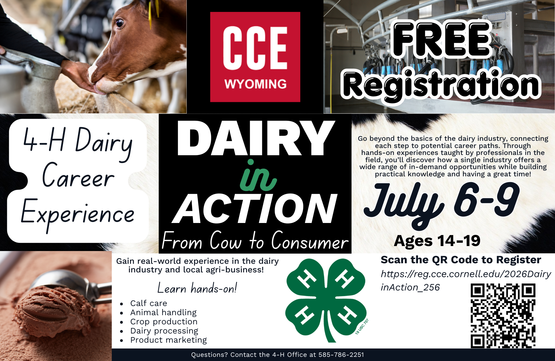 Registration Link