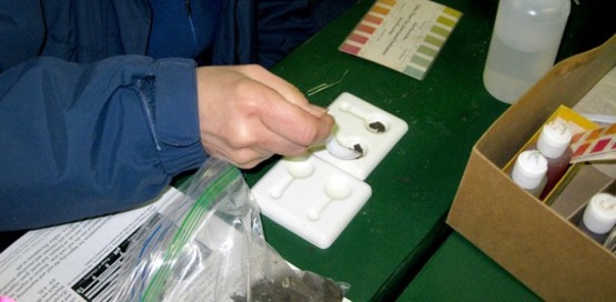 A Master Gardener Volunteer tests soil for pH
