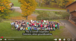Imagine a bridge not of steel and concrete, but of knowledge and innovation, connecting the halls of Cornell University to every corner of New York State. This is Cornell Cooperative Extension.