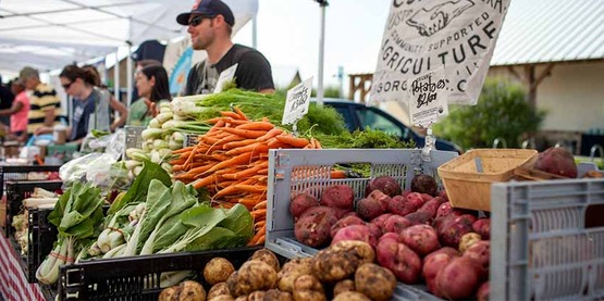 CSA farm stand, tent with vendor and boxes of fresh vegetables