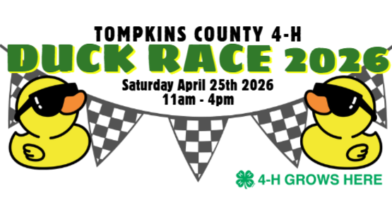 Duck Race Banner