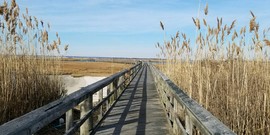 SEMC SFEC boardwalk (2)