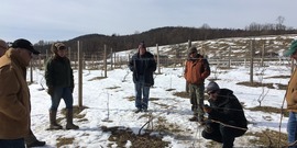 Jim O'Connell pruning