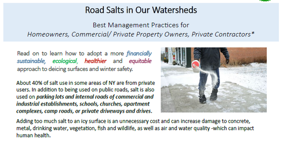 road salt handout screen shot