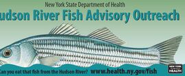 Fish advisory DOH banner