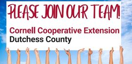 Be a part of our team 2026