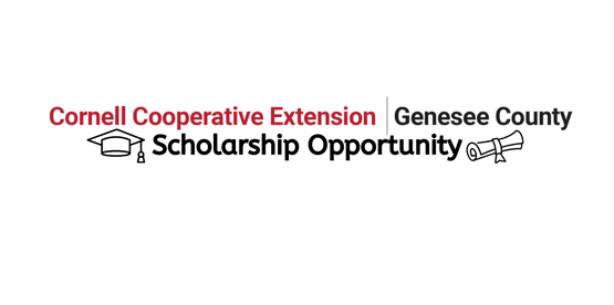 Scholarship opportunity