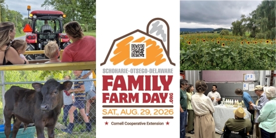 2026 FFD Masthead JPG