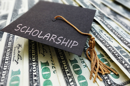 Apply now for the Master Gardener Scholarship!