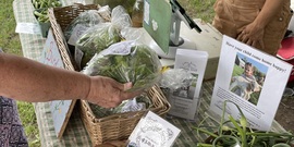 FVRx participant at farmers market