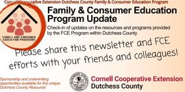 FCE Newsletter header 11 2025