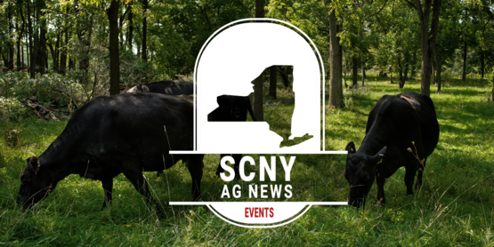 SCNY Events Website Masthead