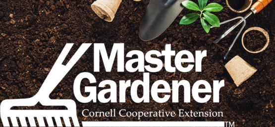 master gardener volunteer program