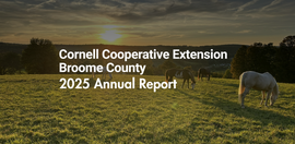 2025 Annual Report Cover photo