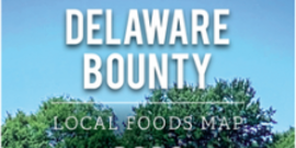 Delaware Bounty 2026