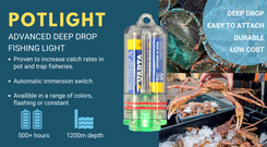 Crustacean Pot Light