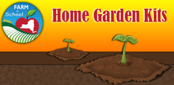 Seneca County Farm to School Home Garden Kits Summer 2021