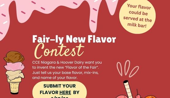 Ice Cream Contest 2026