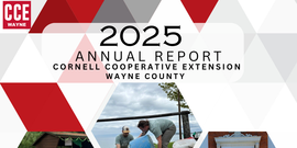 Annual Report 2025