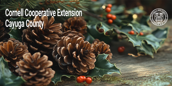 pinecones, evergreen boughs and red berries Cornell Cooperative Extension Cayuga County and Cornell University seal