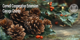 pinecones, evergreen boughs and red berries Cornell Cooperative Extension Cayuga County and Cornell University seal