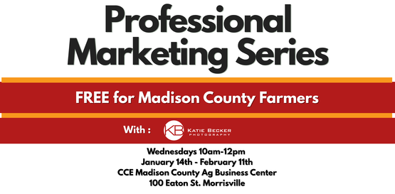 official banner marketing series