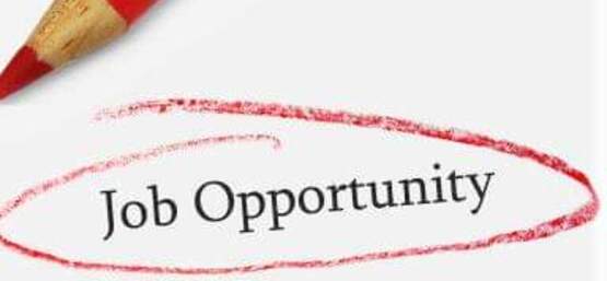 Job Opportunity