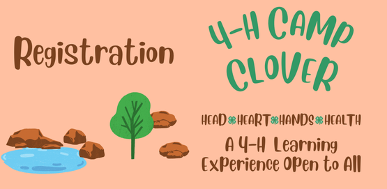 4-H Camp clover