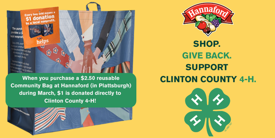 Hannaford Community Bag Program
