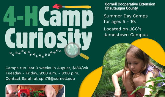 Promotional poster about 4-H Camp Curiosity